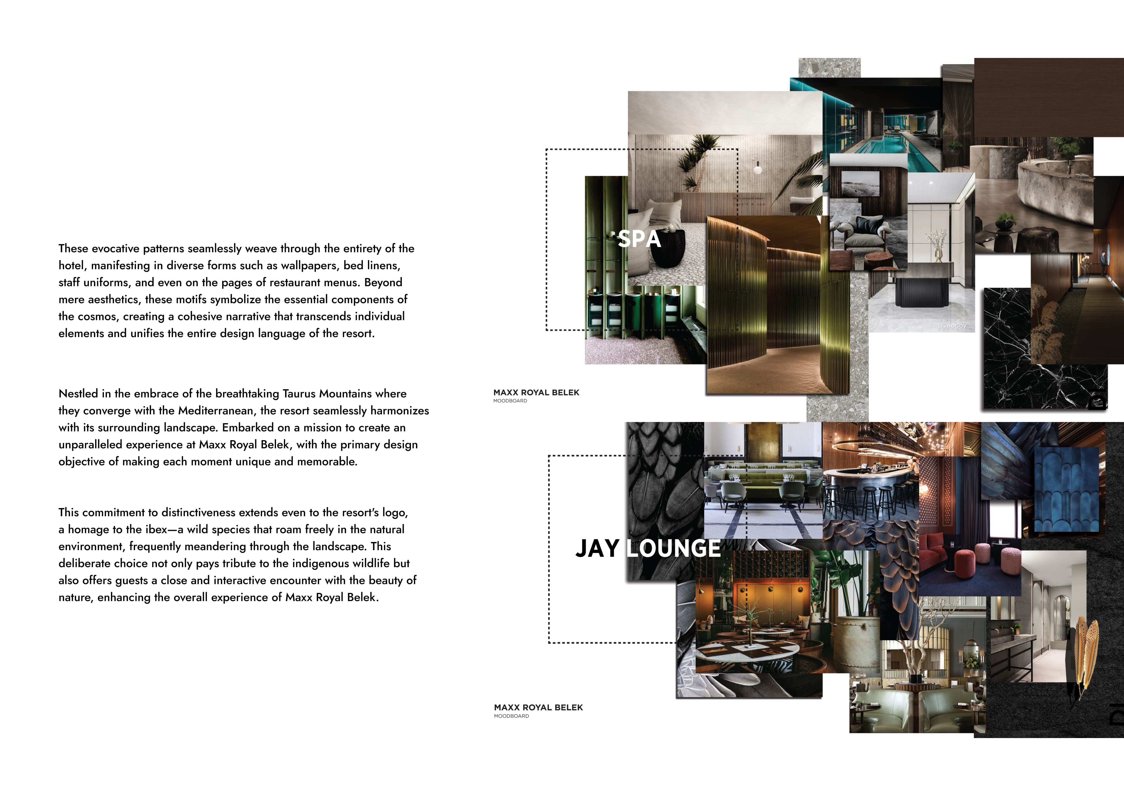 Interior Design Projects image 6